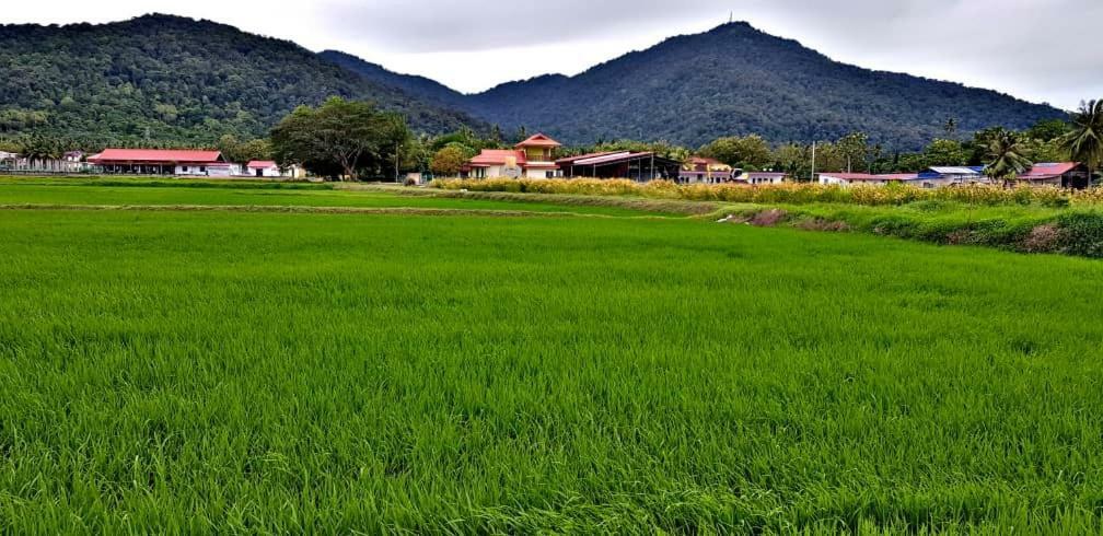 Pak Raja Villas Langkawi Exterior photo